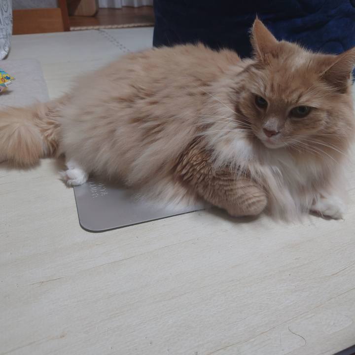 F4dc6abf a191 415c aca2 e33e9ac512a9 1683290294367