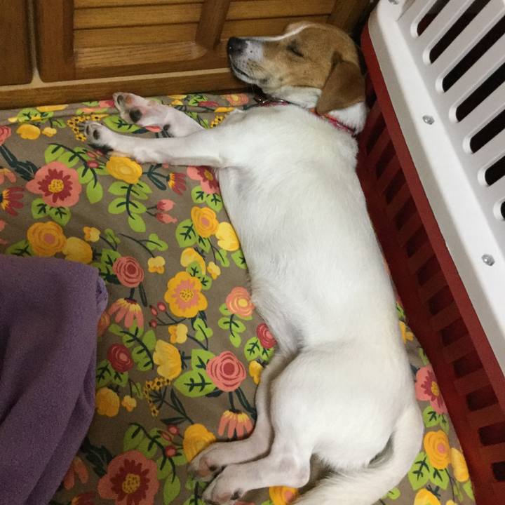 F4dc8e08 4e02 44a0 aab8 192264542557 1528427321570