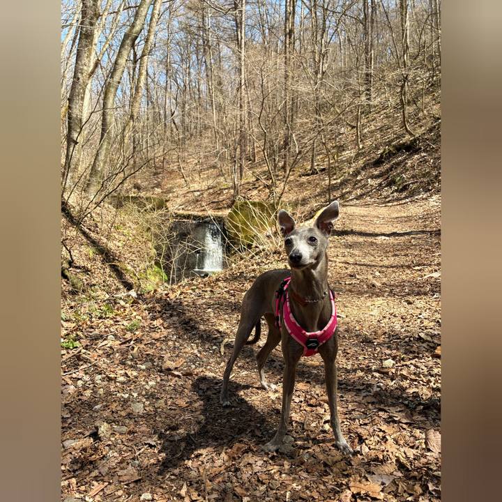 F4dd23fc c9fa 49ae 83ce f44c7addc917 1776933242146