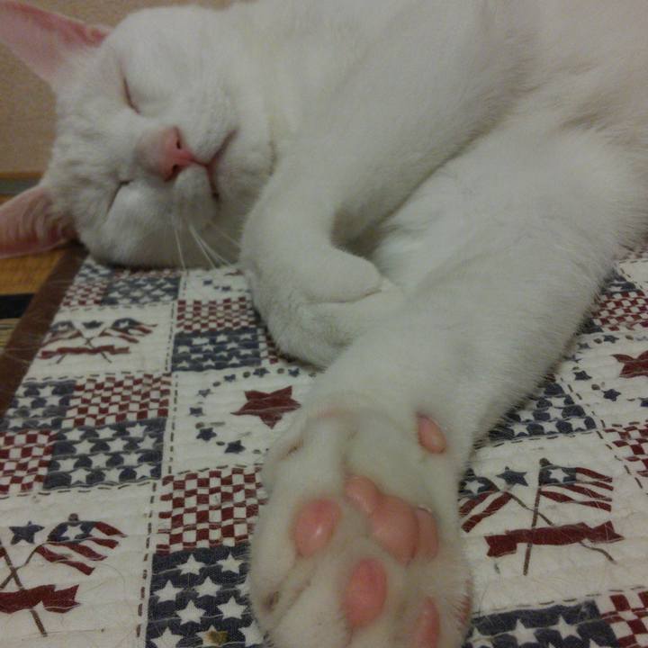 F4dd681b 451d 4bd1 b9c1 31c697ae852e 1528467079234