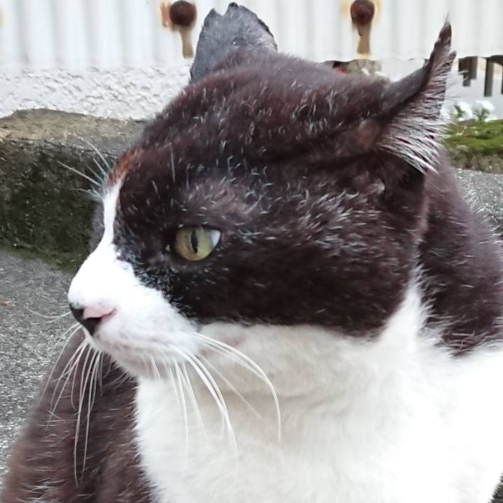 F4dd754a 43f4 4d7d 99a7 defcda34e1ba 1654333597417