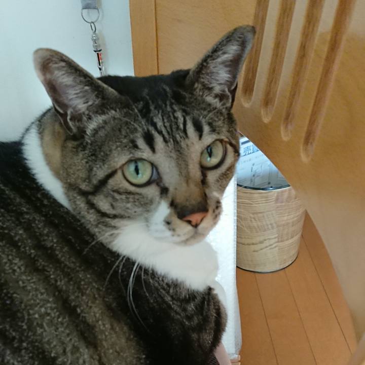 F4dd8ba0 c771 4624 acaf f1bc6d5ae5b0 1554075247626