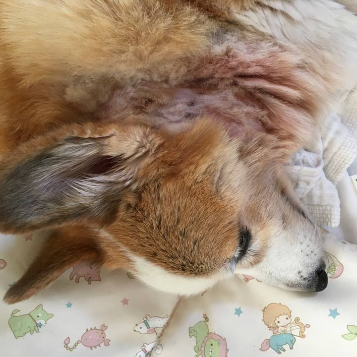 F4dd9f1c 8014 4bb1 b7e7 a30d0158765b 1575023022615