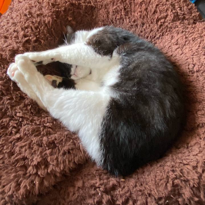 F4de31ce d3d0 4348 9938 7e687fd41ead 1602768183207