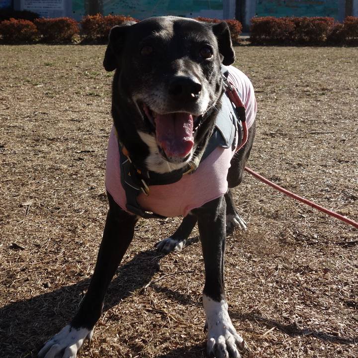 F4de4f0d 29e1 45ff b914 fa1fa0550323 1740616669797