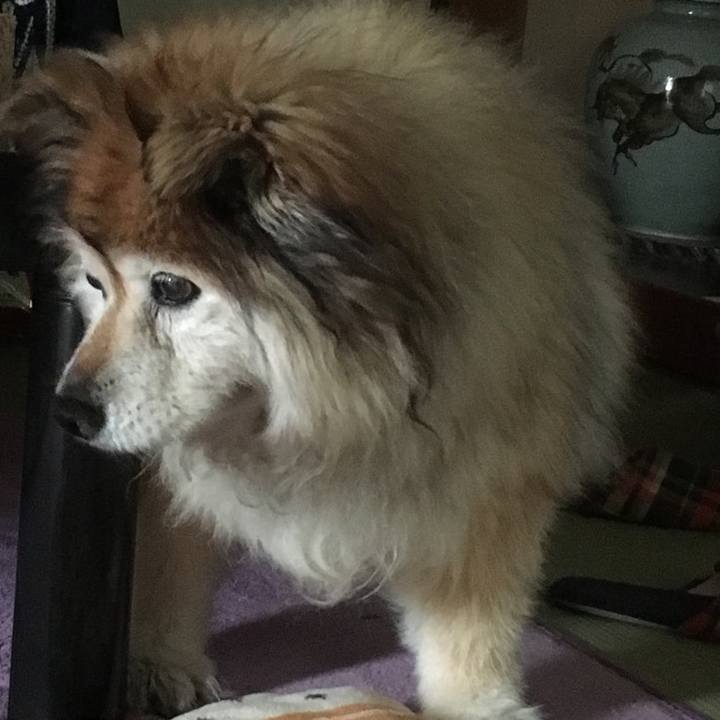 F4de720d f2e6 47fe 8745 615c48a78362 1593471097375