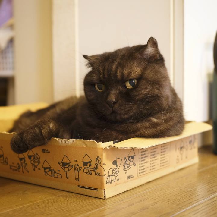 F4de81f0 af9f 4b0d 8280 0eab693fe4aa 1627911748596