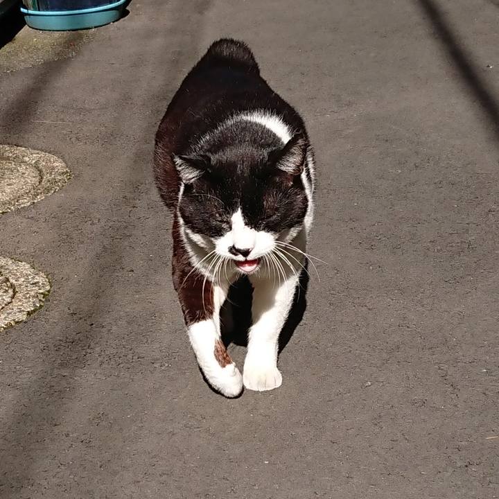 F4deae60 972f 4284 aeab d695a9f1bf8f 1636774341330