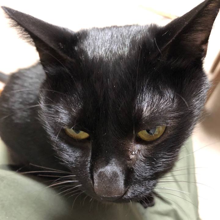 F4dee0fe c28b 48e0 973c 147b9b8b5778 1672129183001