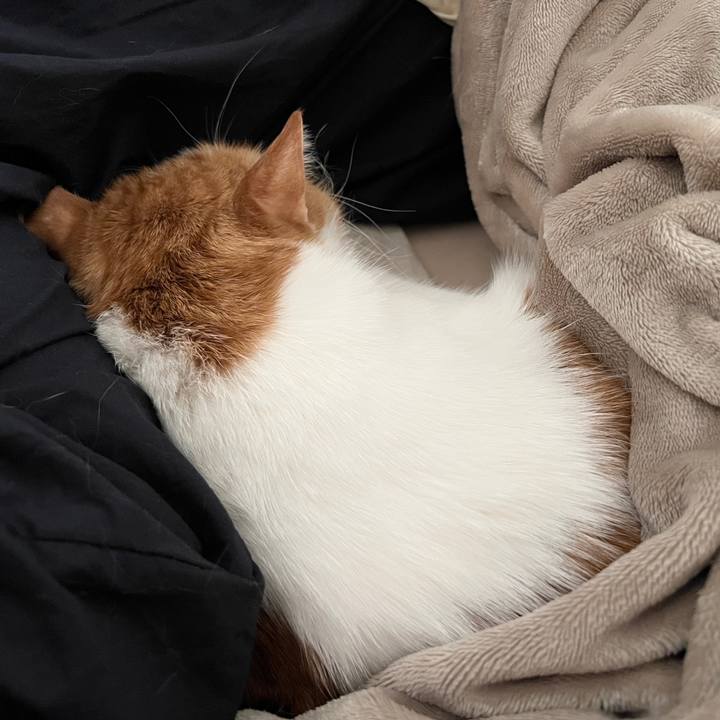 F4df094c 0134 431e a2b1 8a3de84d6dee 1763248359733