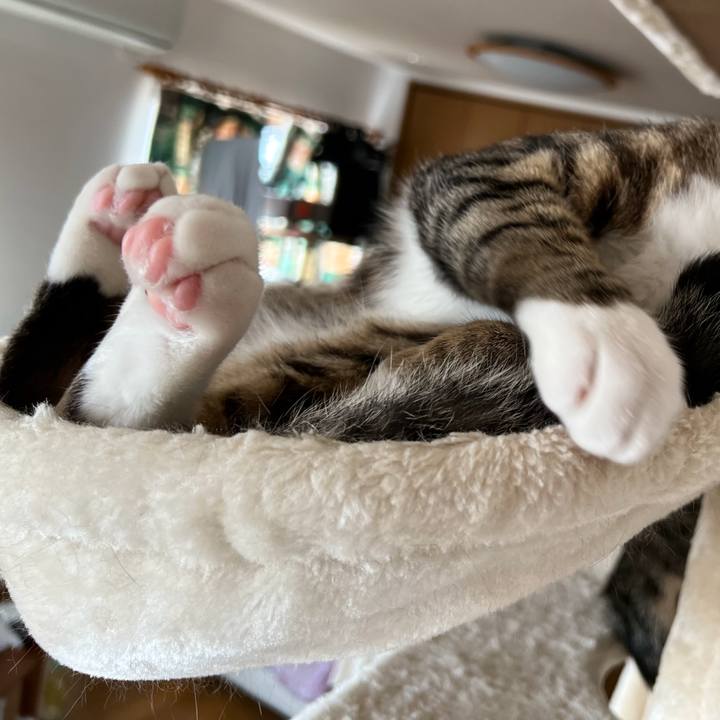 F4df1b19 ed48 469d 9801 be7bf59a078f 1666225995644