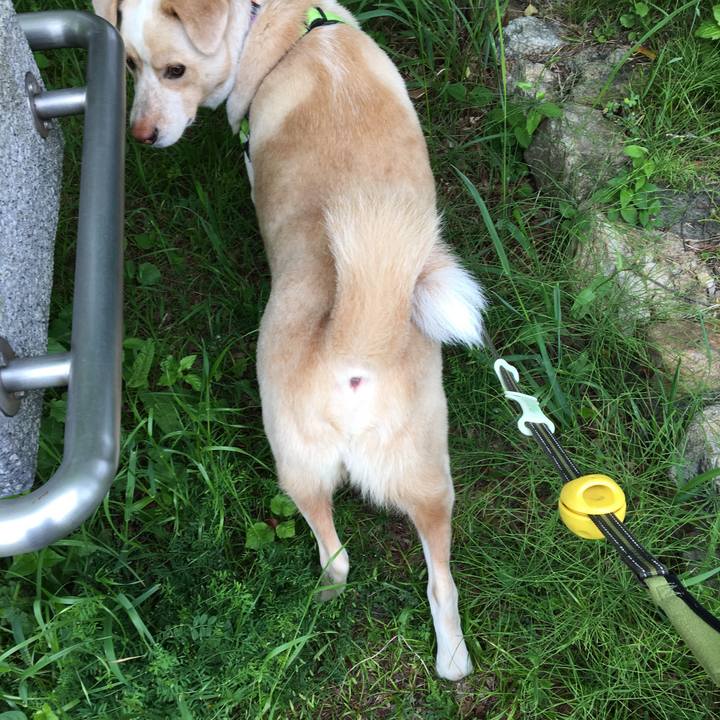 F4df3f5d 75e4 45e4 be2b 1166134facff 1524784325811