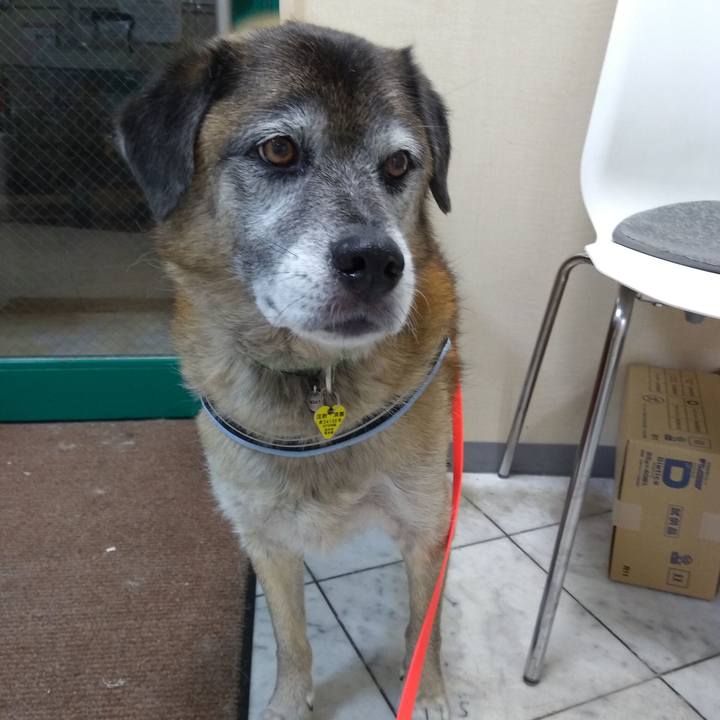 F4df3fc6 3387 443c 94dc a89366b39f97 1567769955966