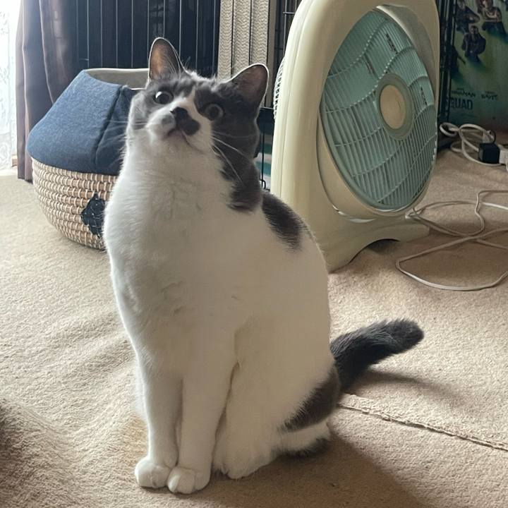 F4df674b fd87 41eb 8a7c 34a7a5457644 1753339059500