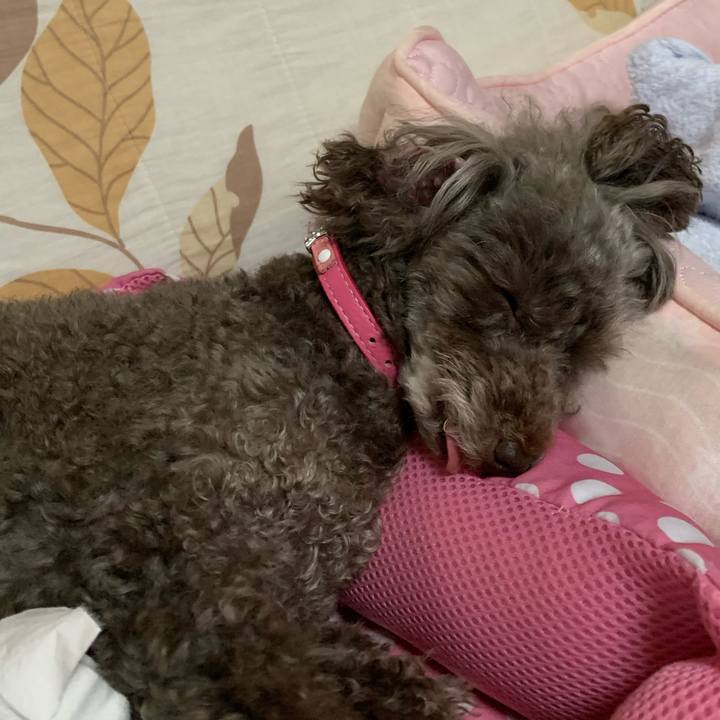 F4df6df3 4725 495f 960f 02738dc67d7b 1600693825471