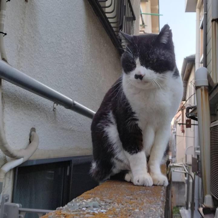 F4dfd7dc a4d6 43a5 852e 31f961951b68 1707811783702