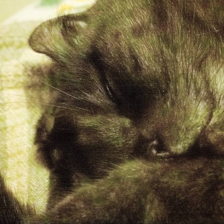 F4dff1cd e394 443d 8e33 5f248d225083 1540307559610