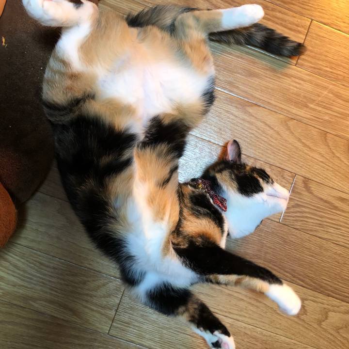 F4dff29a 4f14 4425 acb1 ac711fc13115 1555491470520