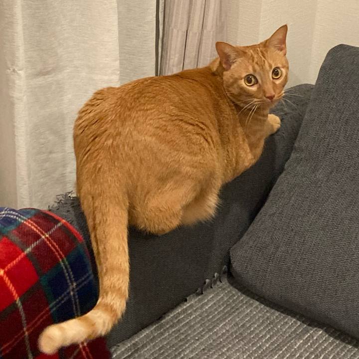 F4dffa2c 4beb 46ce affc 68a4591660b9 1614598661436