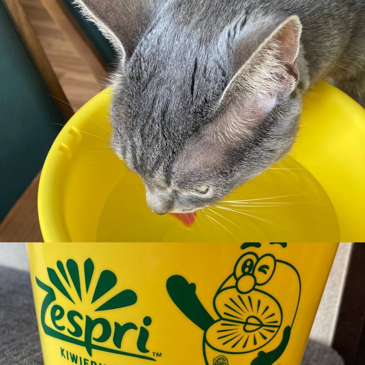 F4e00830 d9a0 46ac 94c8 75f9c01b233b 1689492330610