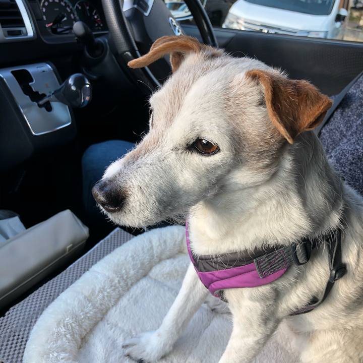 F4e00e5e c799 4ec2 8cda b1a4a768eebf 1579180906110