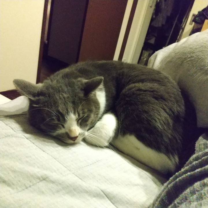 F4e0599d 770a 4a5a 989b 92fe810d9f97 1636813088070