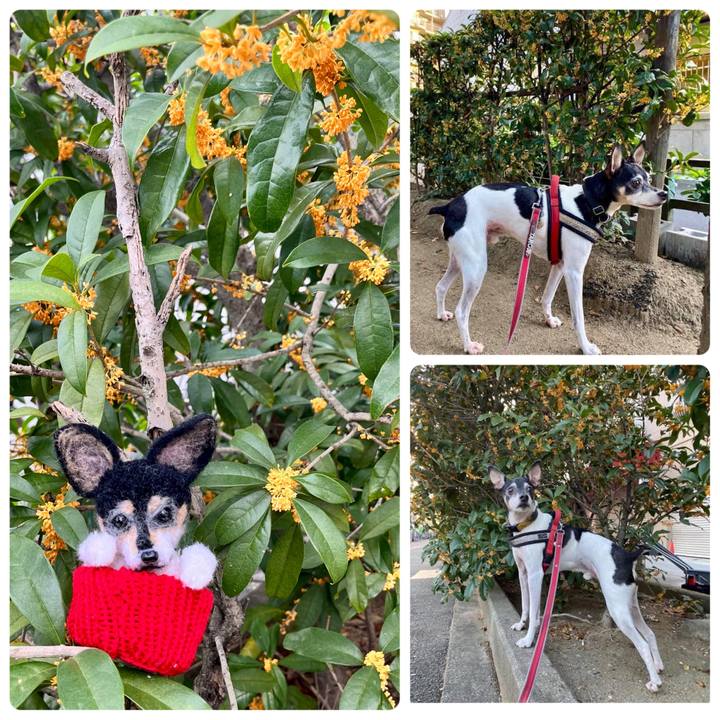 F4e05caf 67b5 4a0c 8899 810eab7b933e 1666047694226