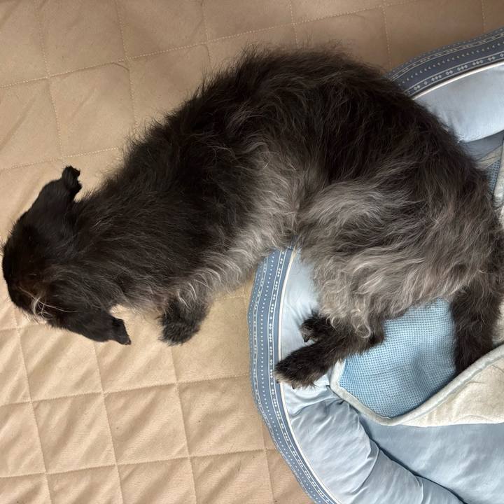 F4e06b03 39e5 487e 9ed6 060541b2d654 1750892785945