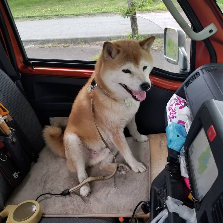 F4e0b796 815a 4c51 98f1 0d5b3b65ab3c 1658132717981