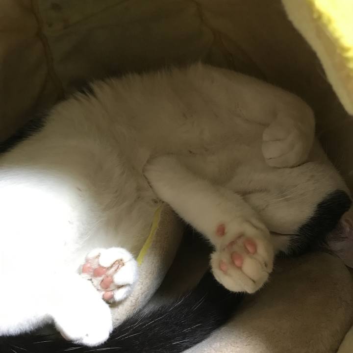 F4e0bf85 2140 42d9 89e5 ba8ca0f52ab2 1522844878806