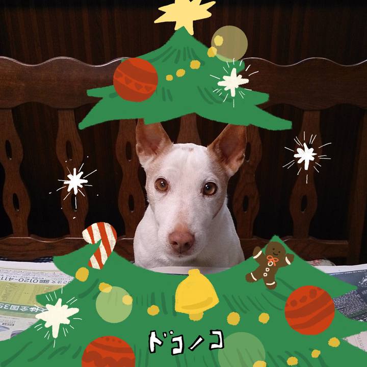 F4e1206c f171 4e34 9dff 7d00e5c00e13 1761108578625