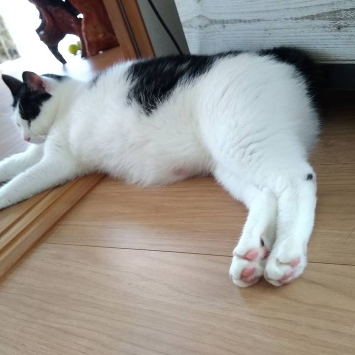 F4e14466 cd75 4a92 93b0 d59f7118f109 1566038901821