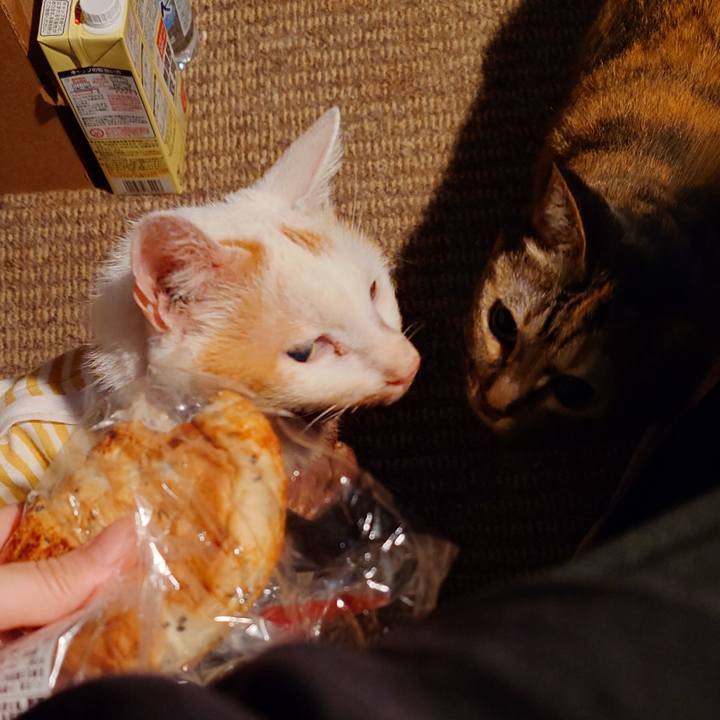 F4e1552e 6e93 4e7f ad2b 875ba0cbedd4 1760177529404