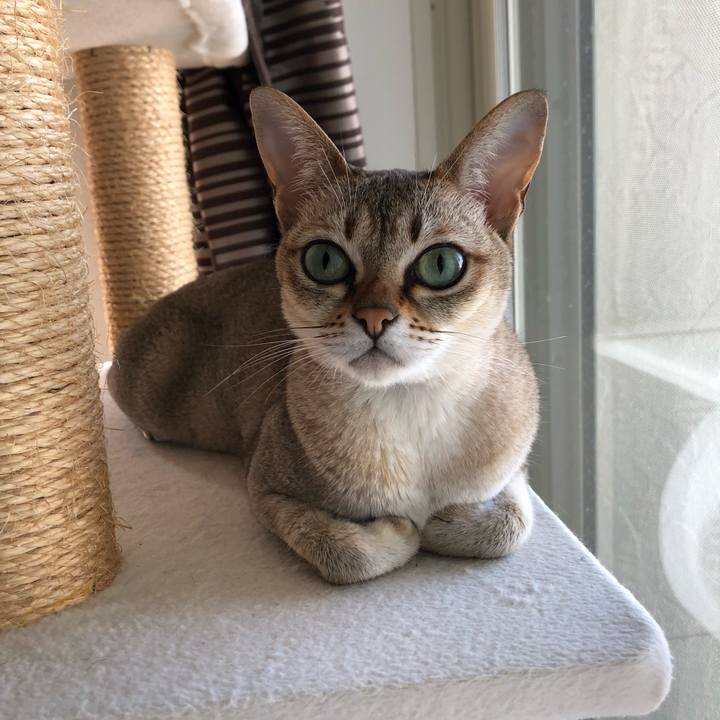 F4e19a4e 0c2c 42bc b6e6 15b1363afc80 1533509743403