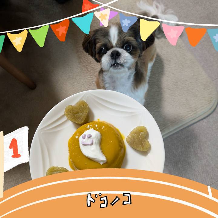 F4e1b5f9 fa73 432b b835 a707009883ba 1761917655417