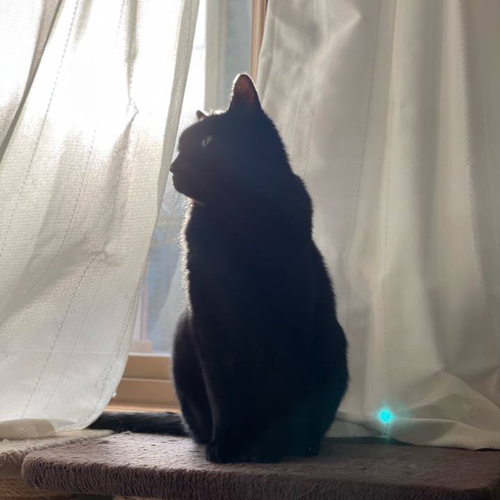 F4e1ec5b a9ab 4acb 8f2f 456ae9a65d40 1641003198508