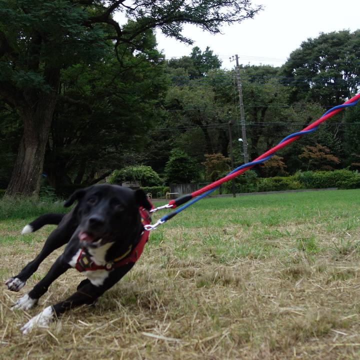 F4e1efcb bff5 405c 8be8 df7b9a66acf3 1600472227451