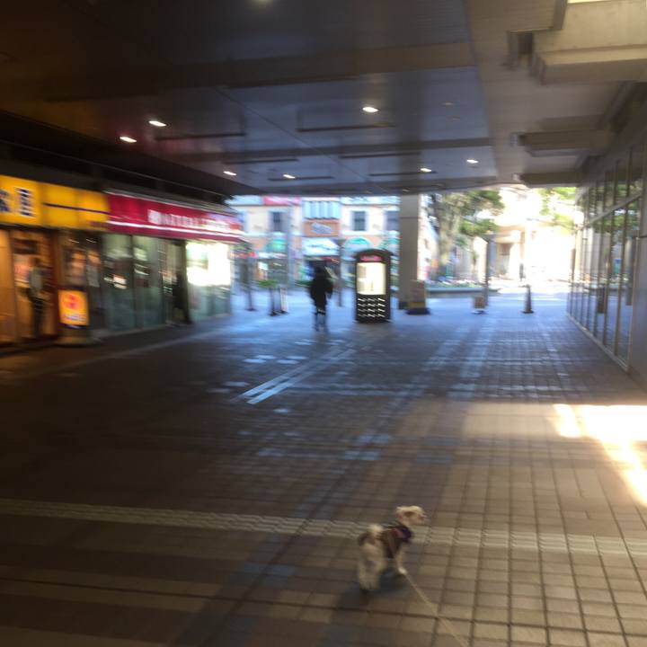 F4e1fa89 edb8 426c 9bfb d31b51470cb9 1513501839226