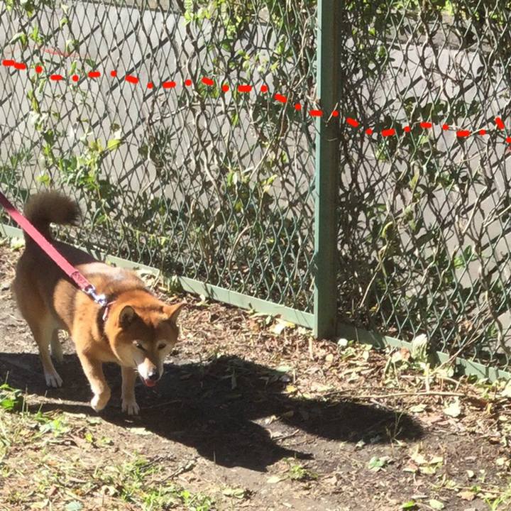 F4e23158 54c0 4eed 9dea a47242b58edd 1570940441936