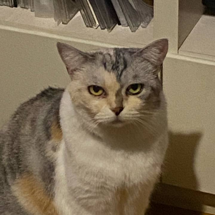 F4e24f75 dfc8 4ac3 9075 b4d011598227 1694261011608