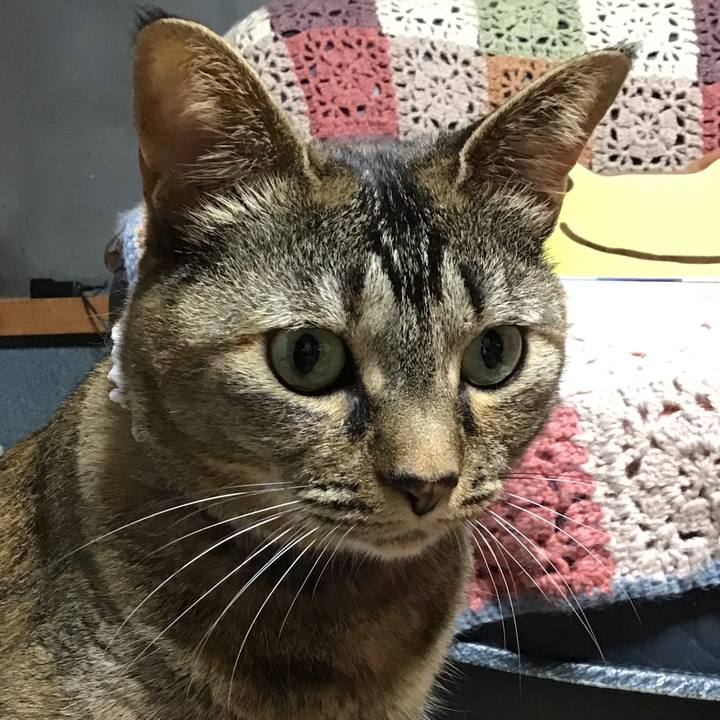 F4e257be 567d 464d 9ae2 de1e7a96c8a5 1686573412393