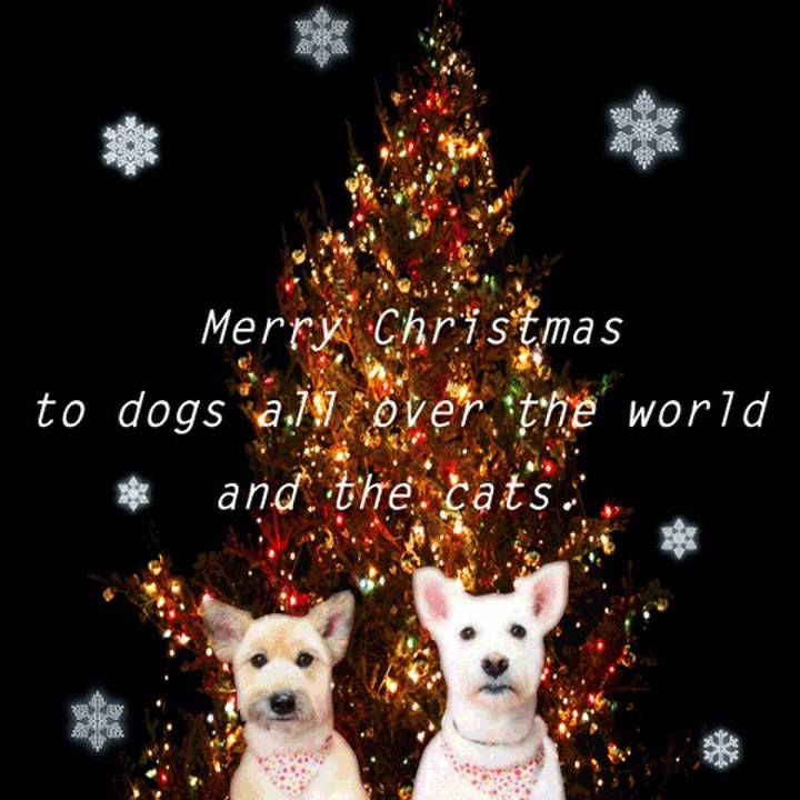 F4e25f89 7b51 44e3 ad96 c9b7b9058c9e 1766613641890