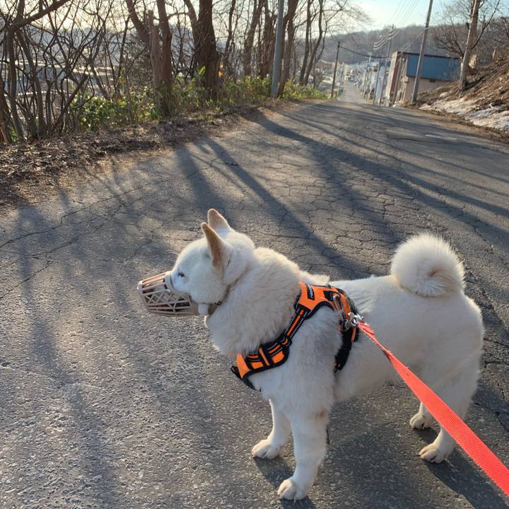 F4e265c4 9a20 433f 9a59 c153c85c1d7f 1618092793693