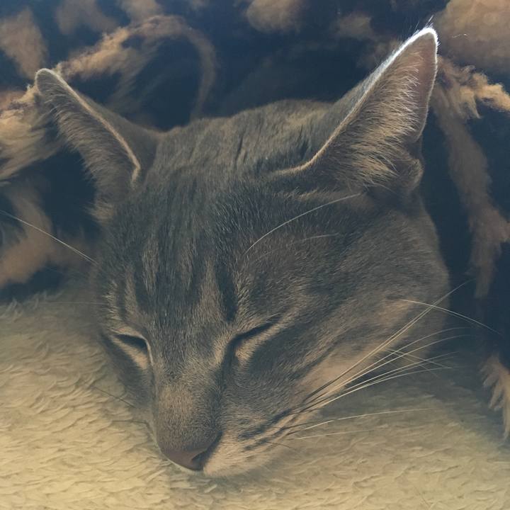 F4e2b32a 6a62 4e77 84a9 9a1f28f4a196 1581219707722