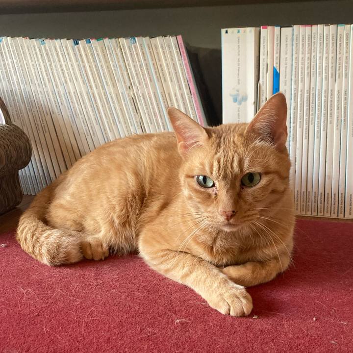 F4e2bd3e e58c 4040 9d9f 416e653a5889 1751159753927