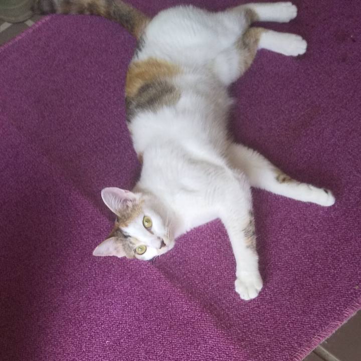 F4e2c95c 695b 457b b0bc 0623f0bca7fe 1655965977881