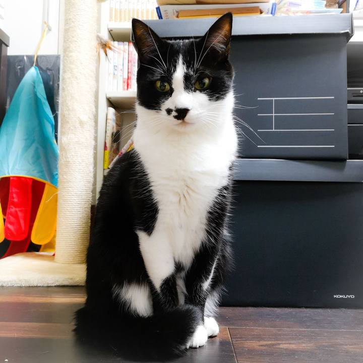 F4e2d571 a777 4319 a826 5533b4586d7a 1543507347164