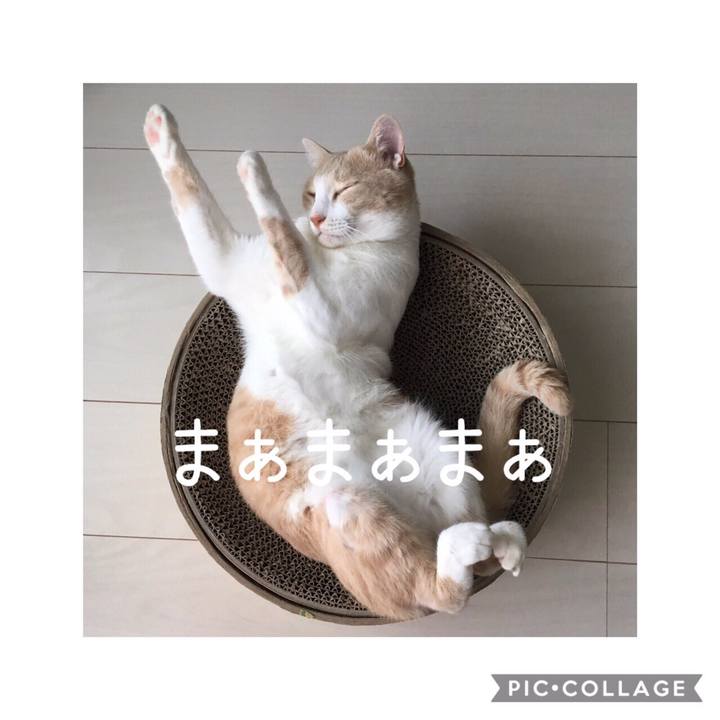 F4e2e498 aa01 45c1 a49f c02c22774c7d 1567042552443