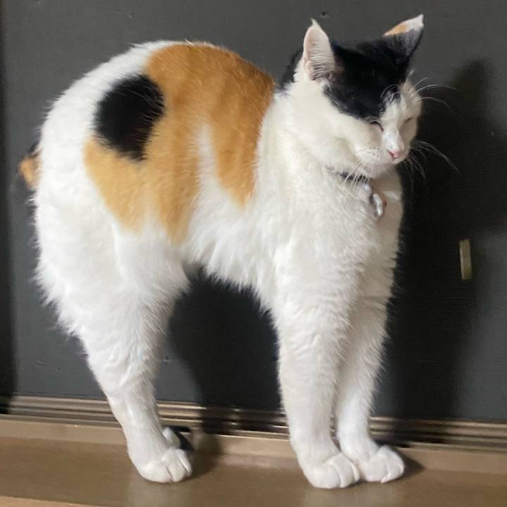 F4e300ae 90c6 485e 83a1 e802b8636284 1647086165033