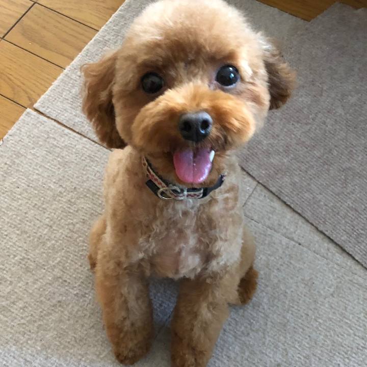 F4e32f04 ae8f 4f39 85f6 2b4385bd10ba 1543027731286